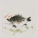 Fish - CNAG006631