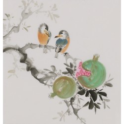 Other Birds - CNAG006642