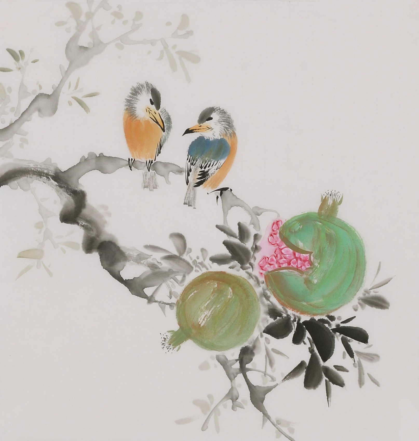 Other Birds - CNAG006642