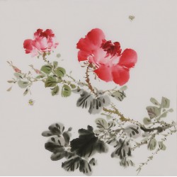 Peony - CNAG006644