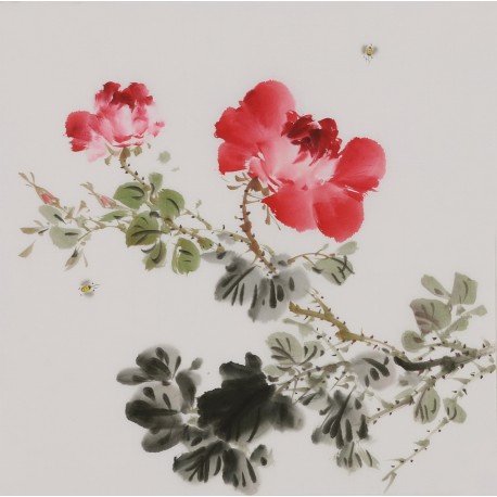 Peony - CNAG006644