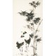 Ink Bamboo - CNAG000665