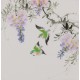 Other Birds - CNAG006646