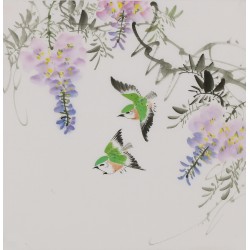 Other Birds - CNAG006646