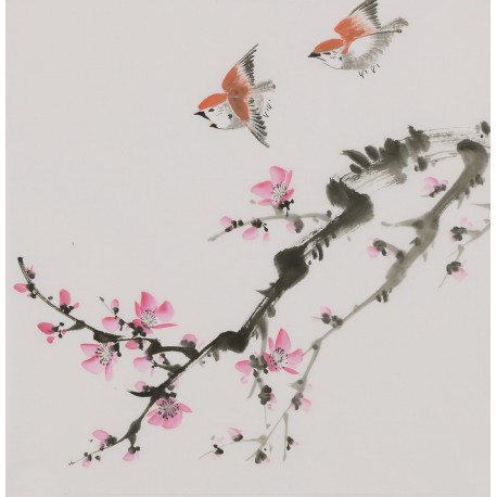 Other Birds - CNAG006653