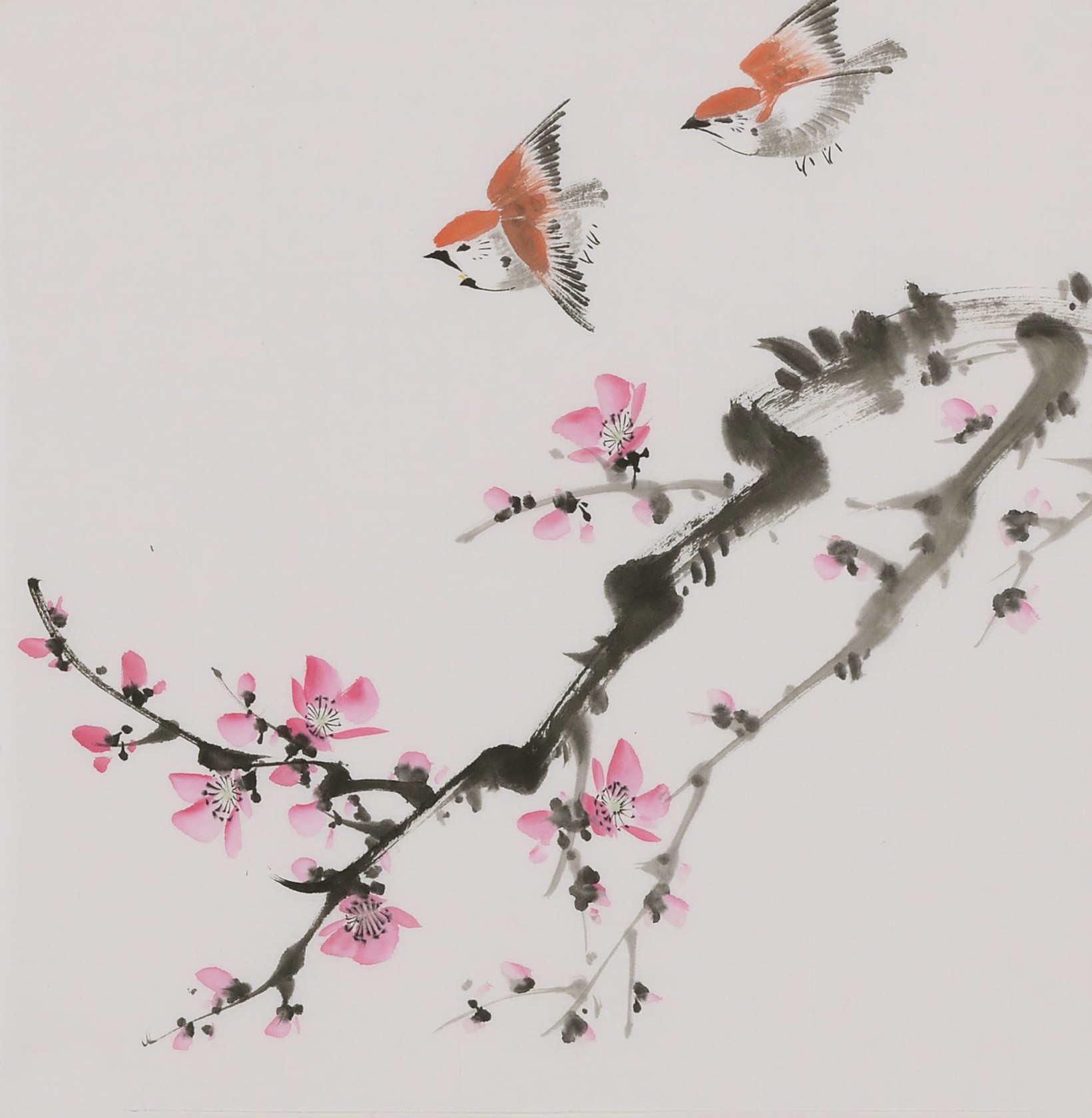 Other Birds - CNAG006653