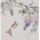 Other Birds - CNAG006665