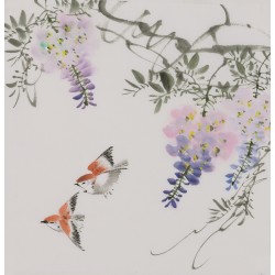 Other Birds - CNAG006665