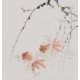 Fish - CNAG006666