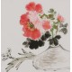 Peony - CNAG006667