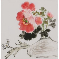 Peony - CNAG006667