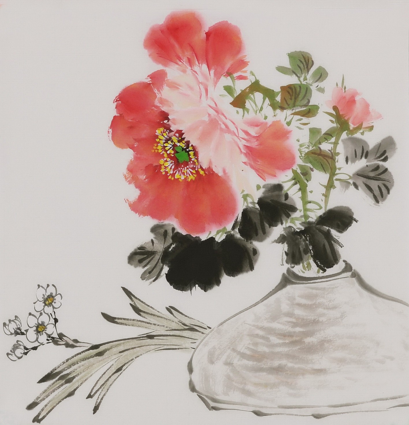 Peony - CNAG006667