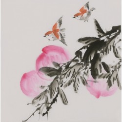 Other Birds - CNAG006671