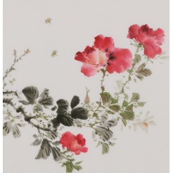 Peony - CNAG006673