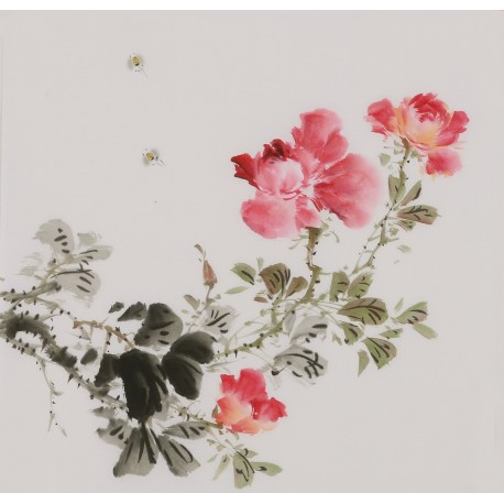 Peony - CNAG006682