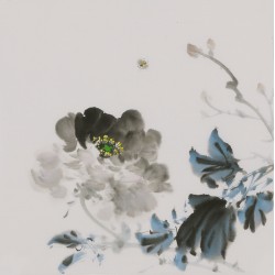 Peony - CNAG006684