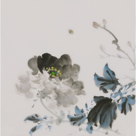 Peony - CNAG006684