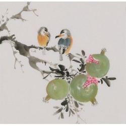 Other Birds - CNAG006685