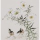 Chicken - CNAG006687