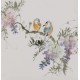 Other Birds - CNAG006690