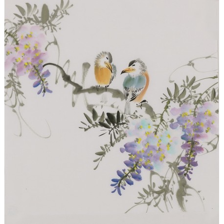 Other Birds - CNAG006690
