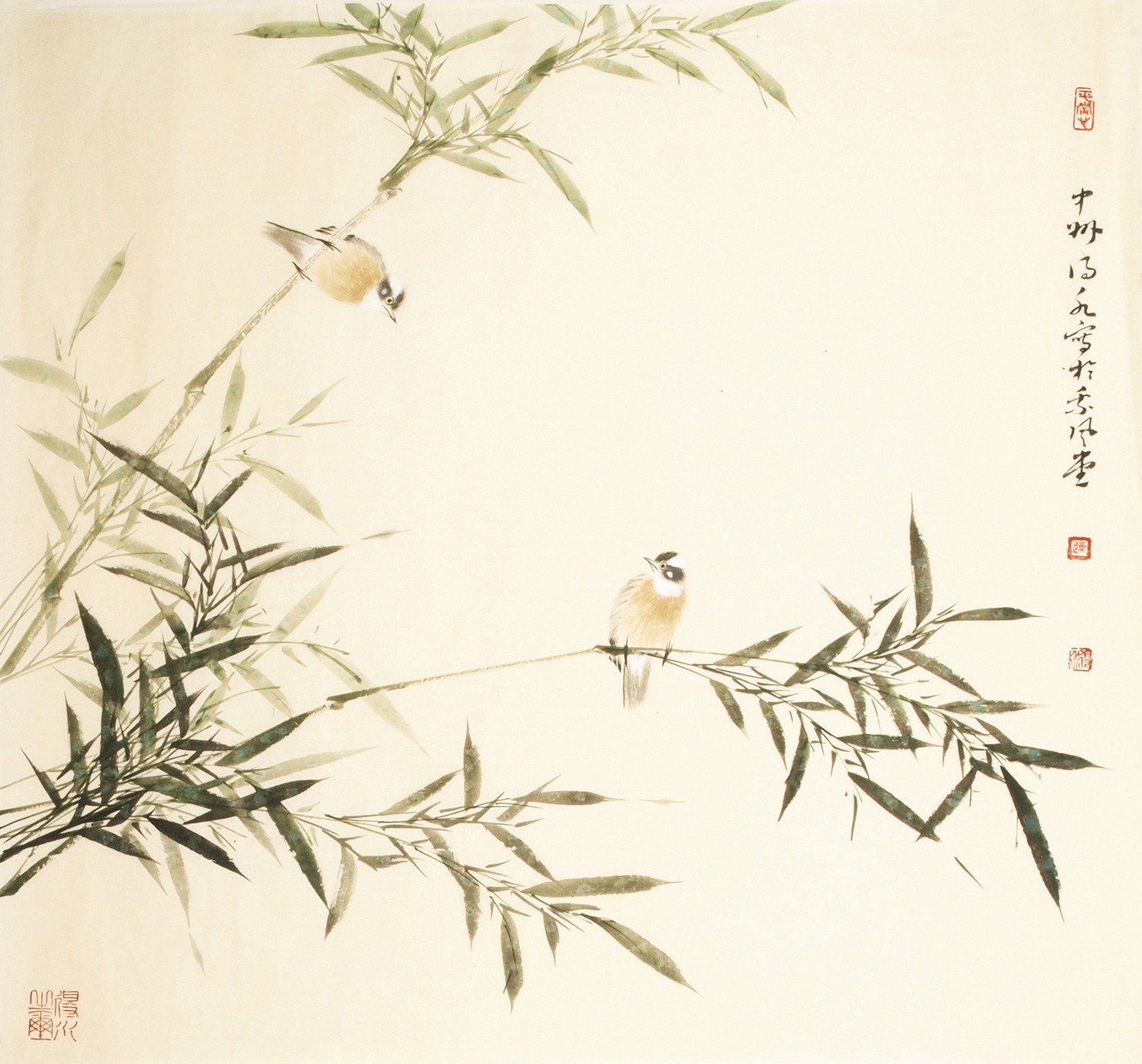Green Bamboo - CNAG006692