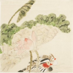 Other Birds - CNAG006693