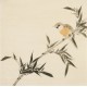 Other Birds - CNAG006695