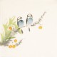 Other Birds - CNAG006696