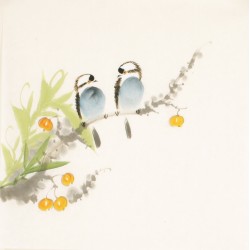 Other Birds - CNAG006696