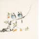 Other Birds - CNAG006698