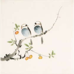 Other Birds - CNAG006698