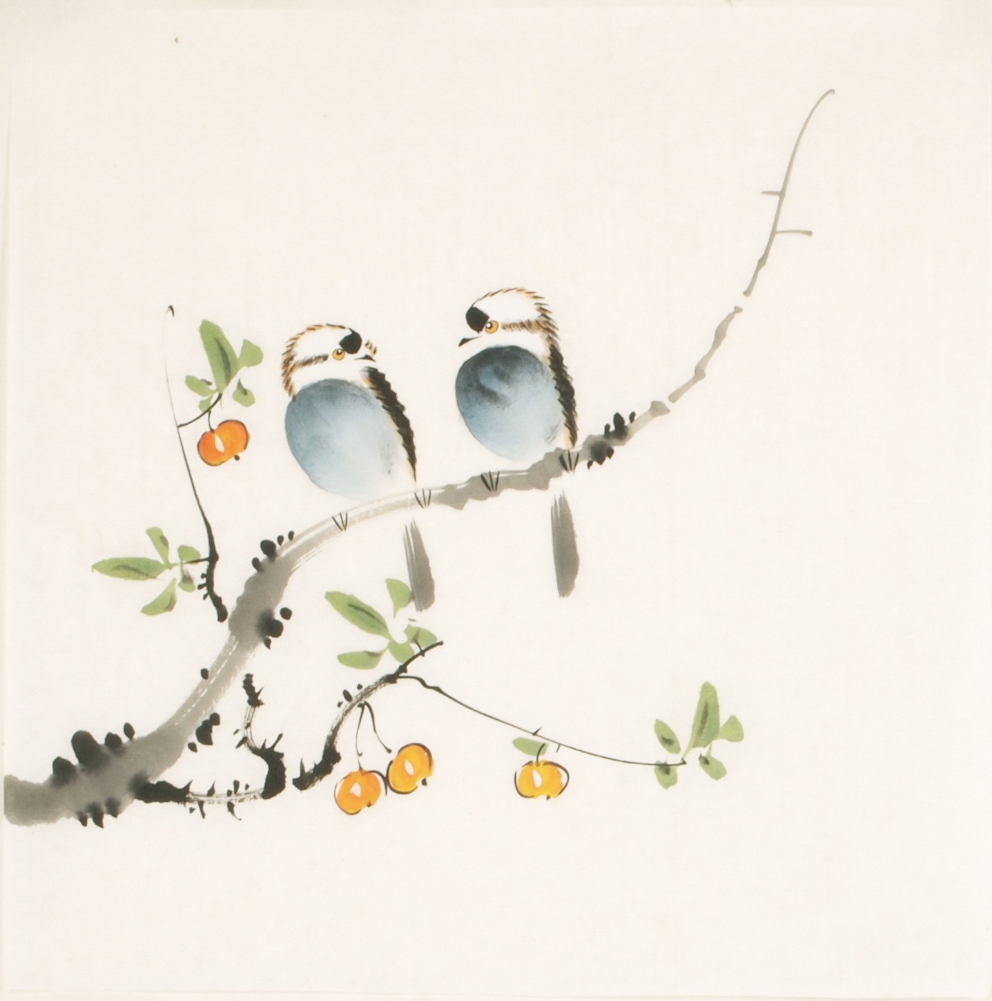 Other Birds - CNAG006698
