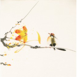 Other Birds - CNAG006700