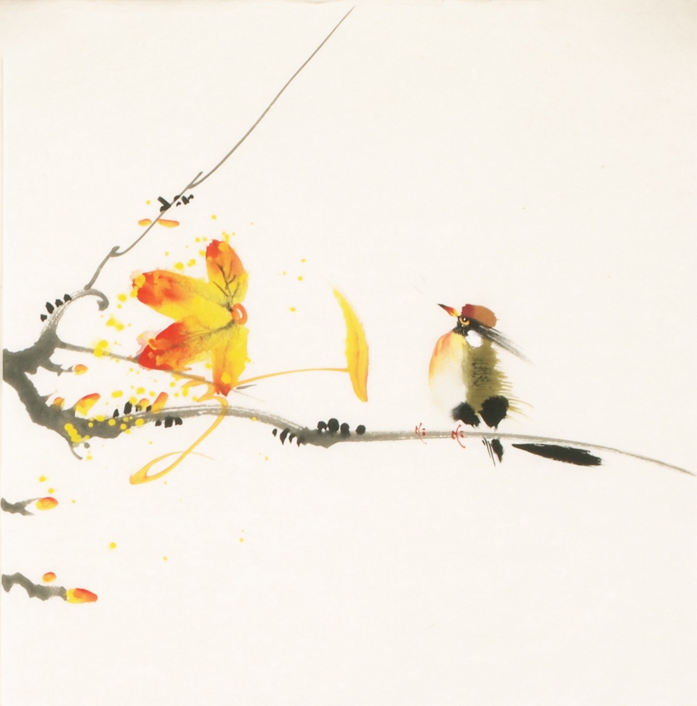 Other Birds - CNAG006700