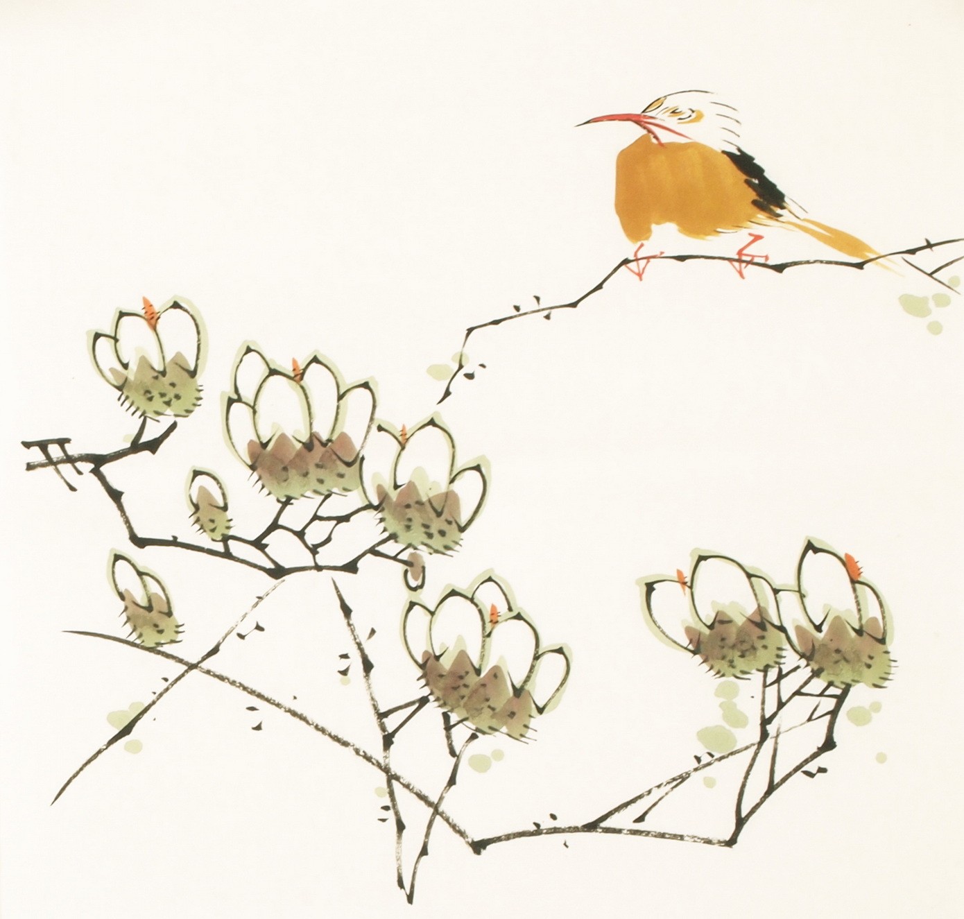 Other Birds - CNAG006701