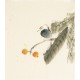 Other Birds - CNAG006702