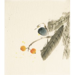 Other Birds - CNAG006702