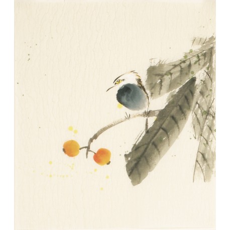 Other Birds - CNAG006702