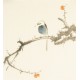 Other Birds - CNAG006703
