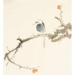 Other Birds - CNAG006703