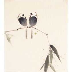 Other Birds - CNAG006704