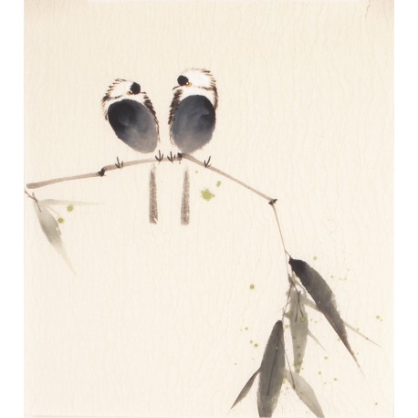 Other Birds - CNAG006704