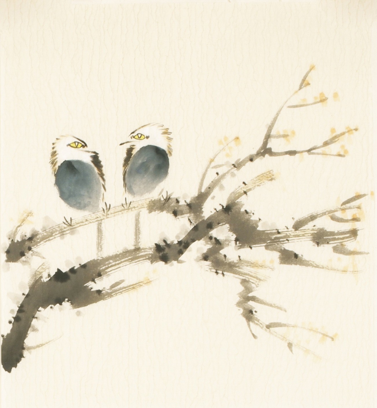 Other Birds - CNAG006705