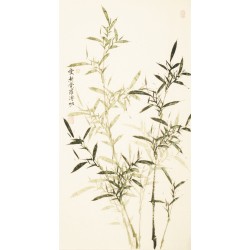 Green Bamboo - CNAG000671