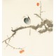 Other Birds - CNAG006706