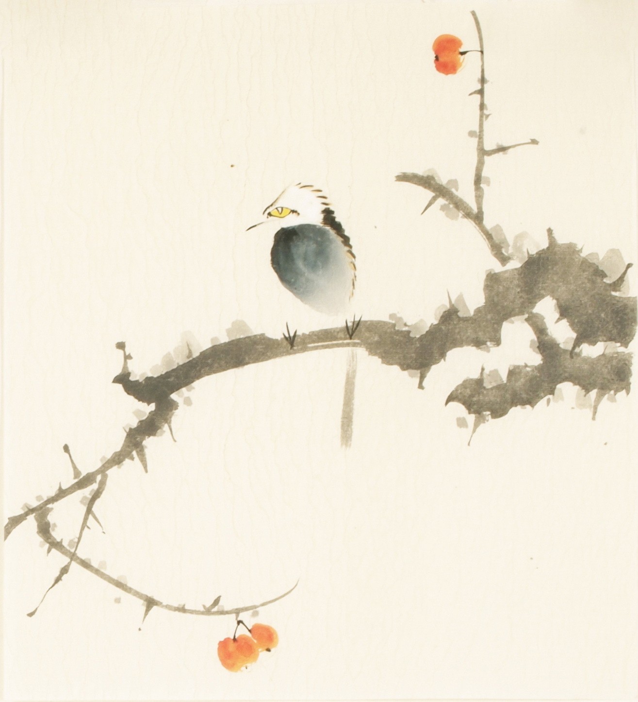 Other Birds - CNAG006706