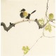 Other Birds - CNAG006707