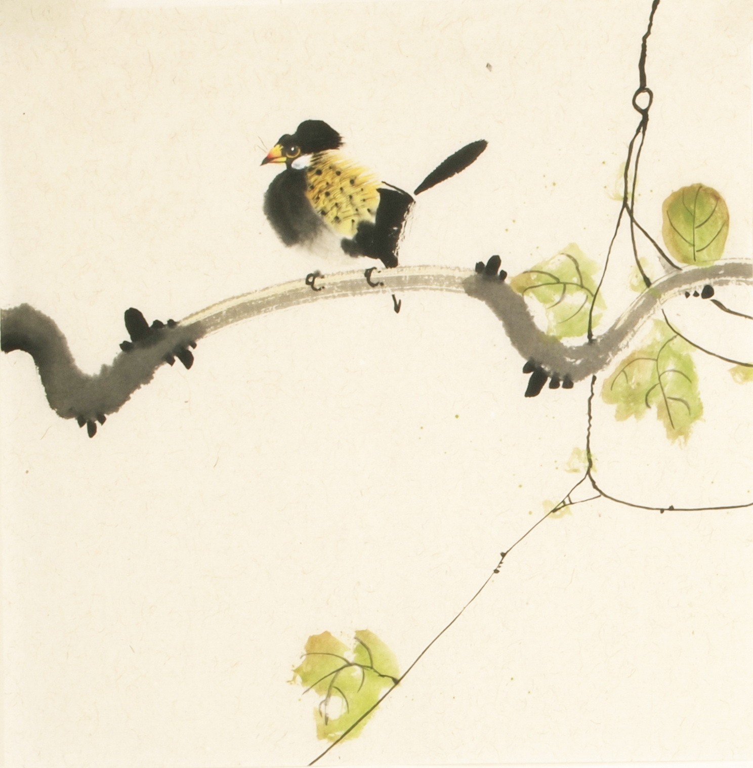 Other Birds - CNAG006707