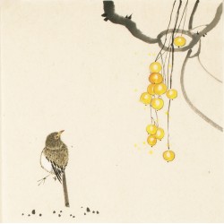 Other Birds - CNAG006708